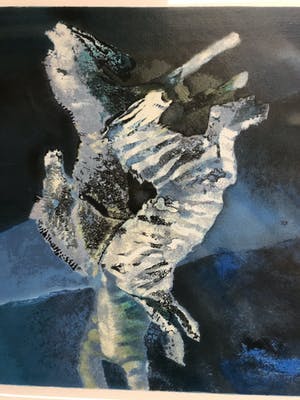 Edwin Salomon - Grafiek Zebra kopen? Bied vanaf 50!