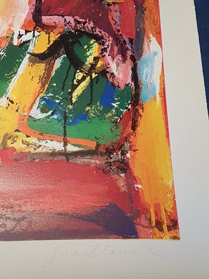 Guillaume Lo-A-Njoe - Orange elefhant kopen? Bied vanaf 25!