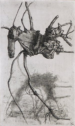 Pauline Braat - Ets, Stronk II kopen? Bied vanaf 35!