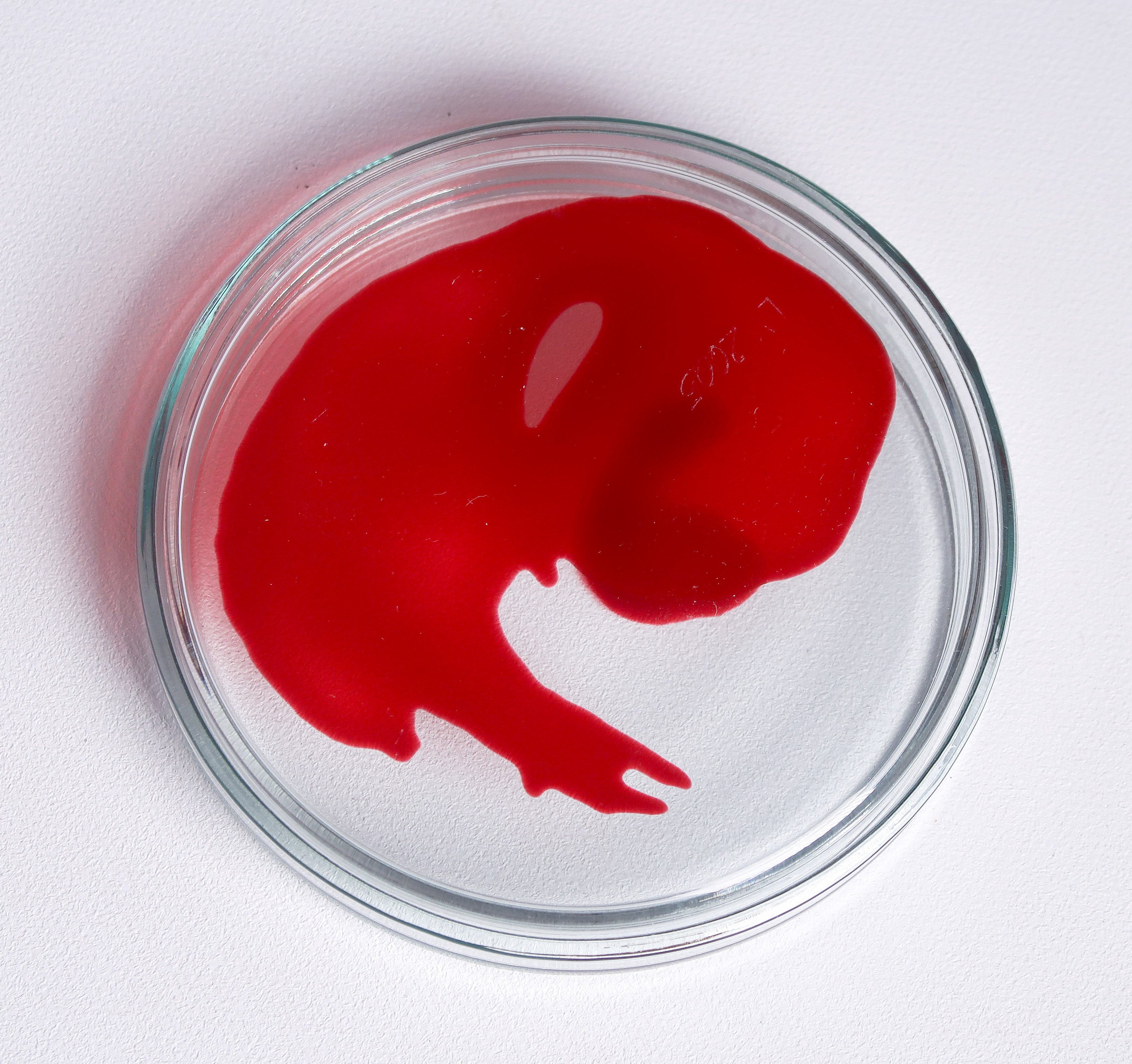 Lisette Verkerk - Beschilderd petrischaaltje, Origins kopen? Bied vanaf 1!