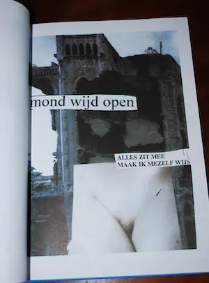 Herman Brood - Woedend Licht, incl zeefdruk + diversen kopen? Bied vanaf 100!