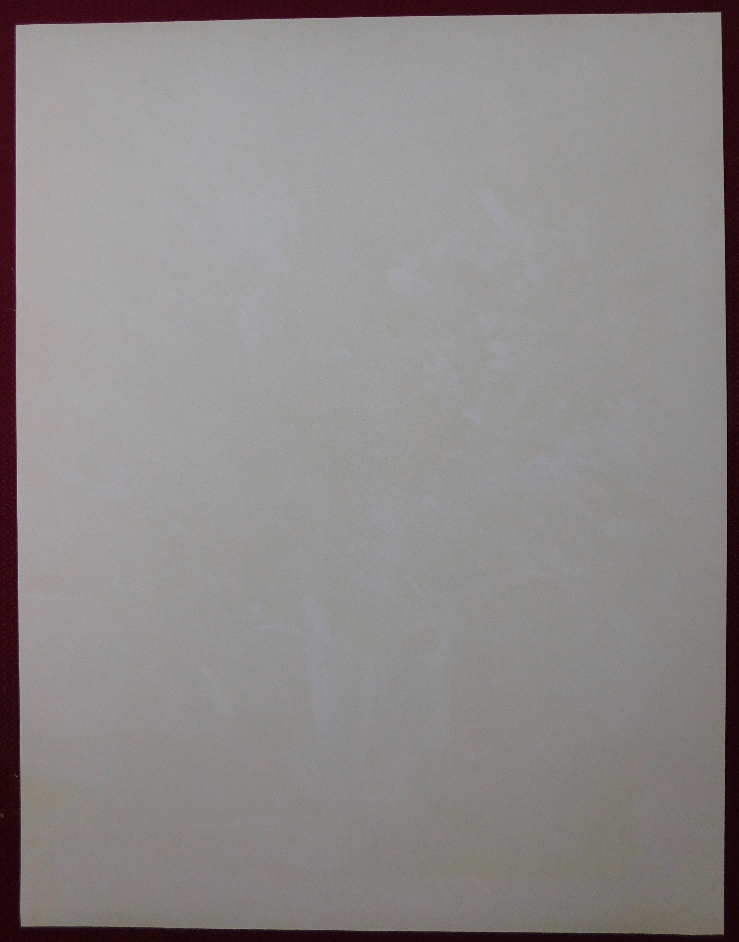 Francois D'Izarny - Bouquet kopen? Bied vanaf 40!