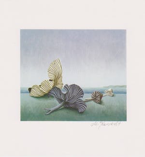 Jacques Decaux - e.a: Collectie van vijf handgesigneerde zeefdrukken: Natuur kopen? Bied vanaf 25!