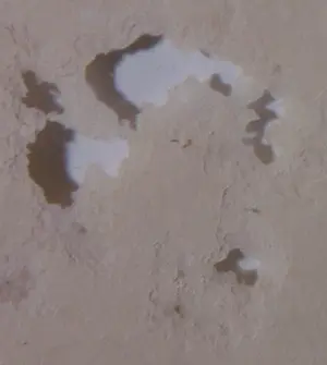 Aart Roos - Krijttekening, Zonder titel kopen? Bied vanaf 1!