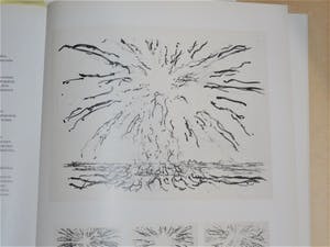 Willem den Ouden - Zon boven de Waal kopen? Bied vanaf 75!