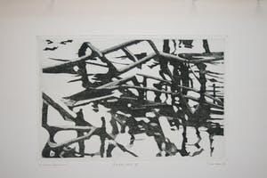 Willem Minderman - "Dood Riet" I t/m VI kopen? Bied vanaf 110!