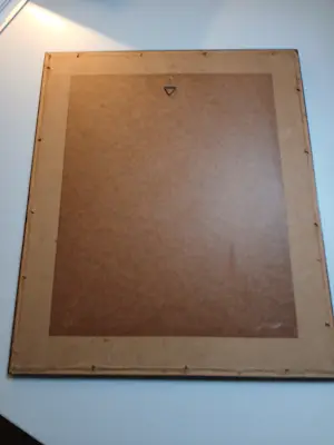 julien Van de Veegaete - Violist kopen? Bied vanaf 60!