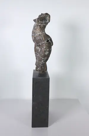 Gerard Engels - Brons, Vrouwentorso op hardstenen voet + 3 boeken! kopen? Bied vanaf 500!