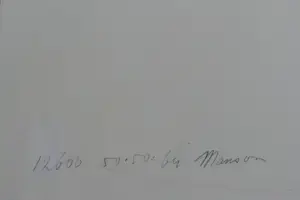 Maarten Manson - Dupliek Horizontaal 1973 kopen? Bied vanaf 45!