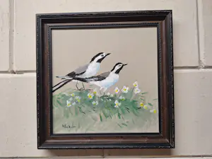 Henk Poeder - Twee Witte Kwikstaart Vogeltjes kopen? Bied vanaf 65!