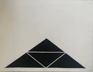 Niek van Driel - Driehoeken in perspectief kopen? Bied vanaf 75!