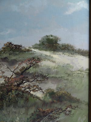 Peter Cox - Olieverf op doek , Duinlandschap – ingelijst – 70 x 90 cm kopen? Bied vanaf 200!