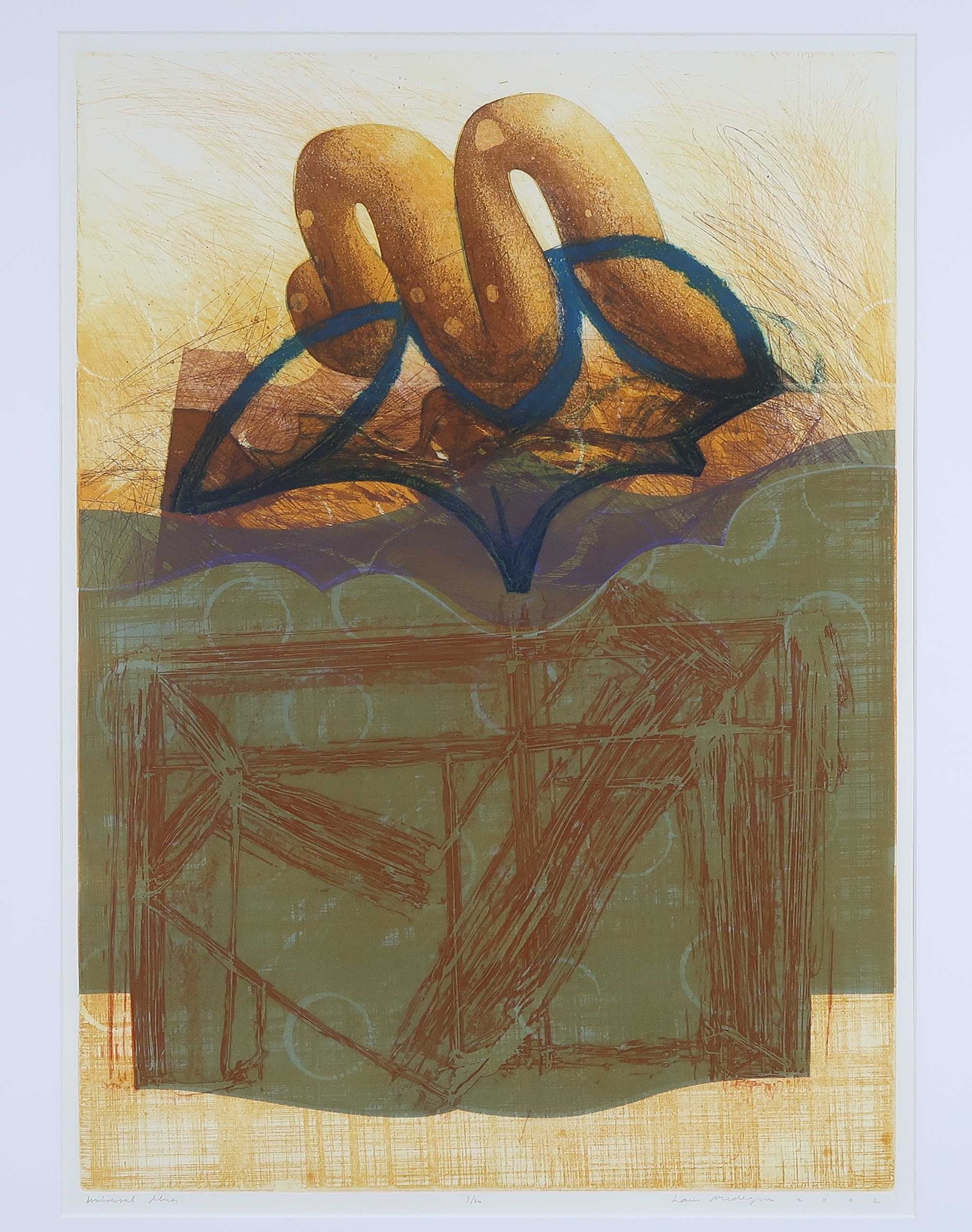 Hans Vredegoor - Ets, Universal blues - Ingelijst kopen? Bied vanaf 20!