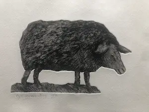 Arja van den Berg - Schaap kopen? Bied vanaf 35!
