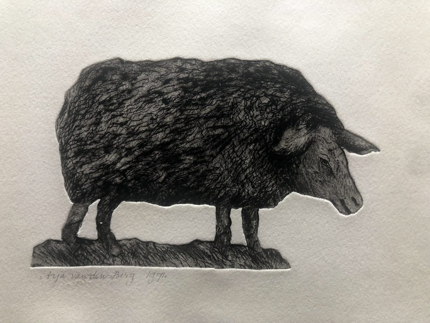 Arja van den Berg - Schaap verkocht voor € 35!