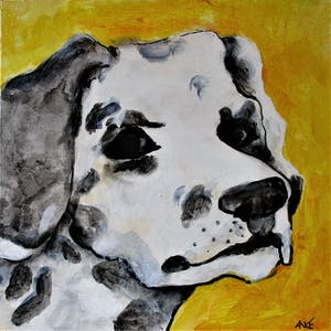 Anke Peddemors - jelle de hond kopen? Bied vanaf 25!