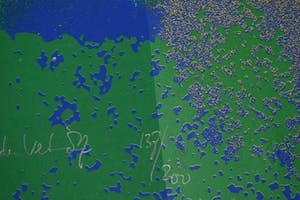 Henk van der Vet - Zeefdruk - Techniek kopen? Bied vanaf 40!