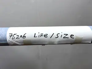 Hester Oerlemans - Life/size 38 kopen? Bied vanaf 150!