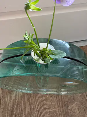 Gallotti&Radice - Italian Vintage Flower Holder kopen? Bied vanaf 300!