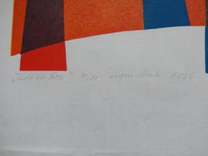 Gijsbert Jan van Koppenhagen - Zon en bos kopen? Bied vanaf 35!