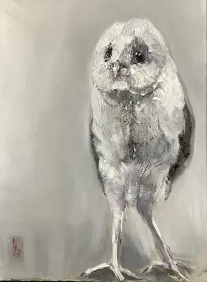 Dorien Plaat - Barnuil kopen? Bied vanaf 350!