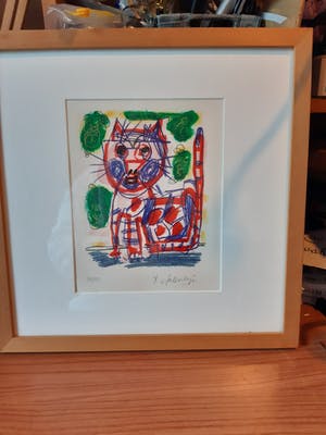 Kees Salentijn - Poes kopen? Bied vanaf 35!