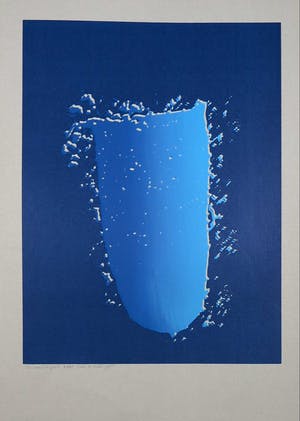 Theo van den Akker - Zeefdruk, Serigrafie kopen? Bied vanaf 1!