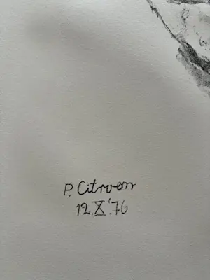 Paul Citroen - Jan Cremer portret kopen? Bied vanaf 15!