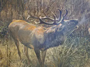 Carl Zimmermann - Schreiender Hirsch kopen? Bied vanaf 1800!