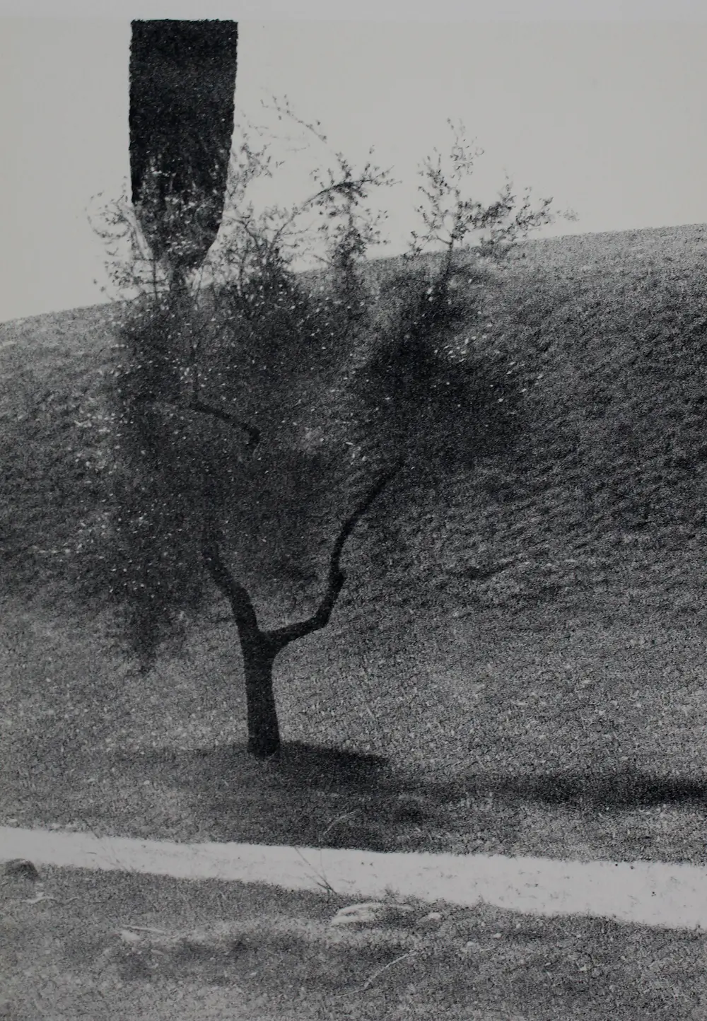 Rodolfo Mele (1928)