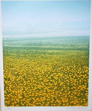 Elmar Gille - zomers landschap - kleurets - oplage 45 verkocht voor € 45!