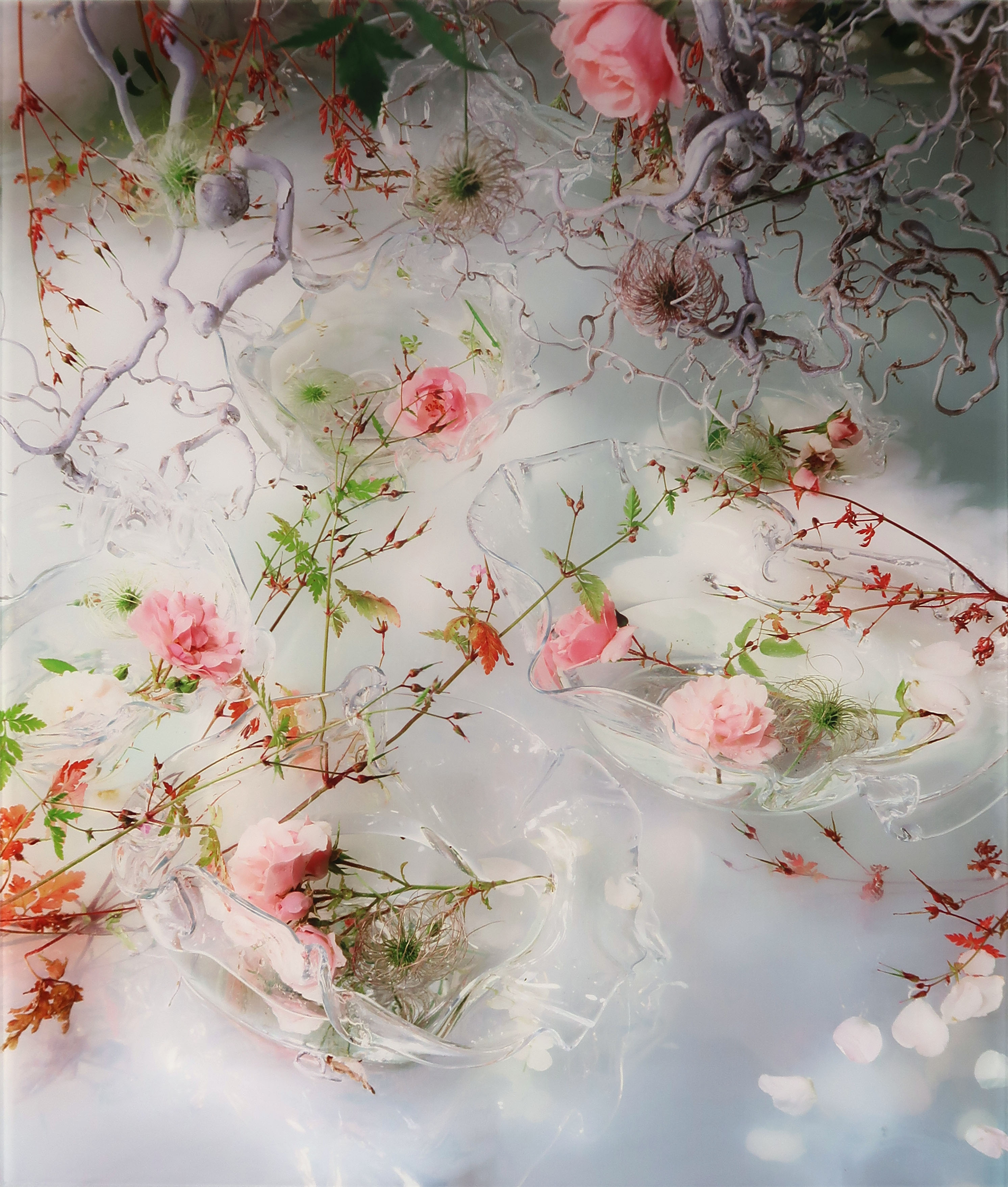 Margriet Smulders - C-Print op dibond, Cherish me, inclusief oeuvrecatalogus kopen? Bied vanaf 350!