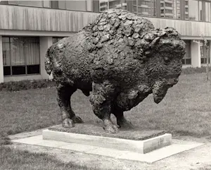 Pieter d' Hont - Bronzen beeld: 'bizon' - 1981 kopen? Bied vanaf 1500!