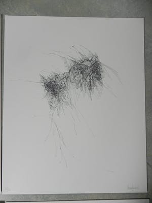 Maarten Beks - Reisdagen kopen? Bied vanaf 1!