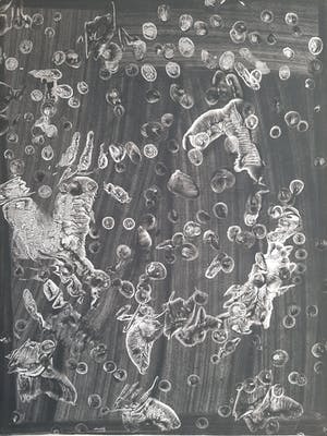 Anton Lutgerink - Dartel 1967 kopen? Bied vanaf 75!