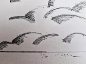 Hannes Postma - "Hors series" handgekleurde Ets -1971 - "Vuurtoren onder water" kleine oplage kopen? Bied vanaf 46!