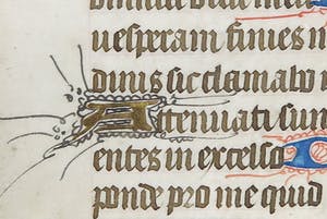 Curiosa - Pagina uit het getijdenboek Heures à l'usage de St. Omer kopen? Bied vanaf 80!