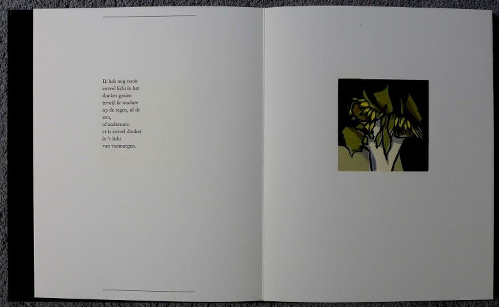 Fon Klement - 'Zwartwit in en achter kleuren', zeven boardsneden van Fon Klement kopen? Bied vanaf 250!