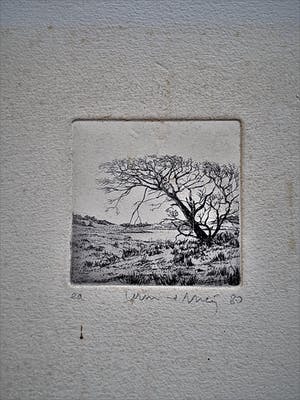 Wim van der Meij - Mooie Ets - uniek e.a. exemplaar - "landschap" - potloodgesigneerd kopen? Bied vanaf 21!