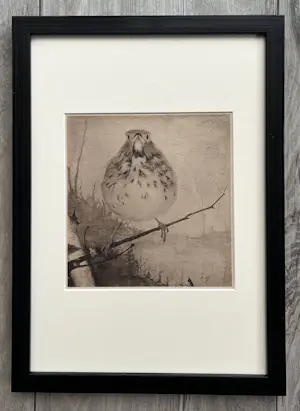 Jan Mankes - Originele Heliogravure Lijster op Tak 1923 kopen? Bied vanaf 185!