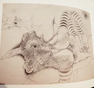 Hans Bellmer - The Drawings of Hans bellmer kopen? Bied vanaf 20!