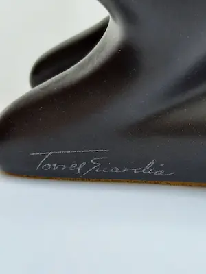 José Torres Guardia - Rustend paard kopen? Bied vanaf 1!