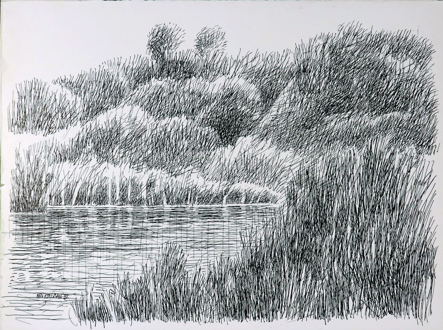 Bernard Koelman - Pentekening, Gras en graan kopen? Bied vanaf 1!