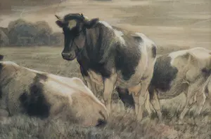 Frederik Jbzn Engel - Koeien kopen? Bied vanaf 200!