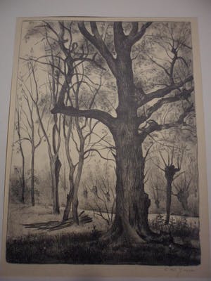 Cor. W Joppe - Litho, zonder titel kopen? Bied vanaf 20!