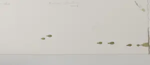 Christian Bozon - Kleurenets, Recverdos kopen? Bied vanaf 50!