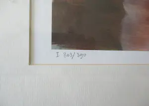 Karin Bos - Appearance / disappearance kopen? Bied vanaf 30!