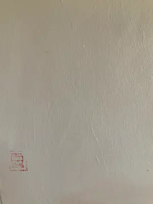 Dorien Plaat - trans kopen? Bied vanaf 500!