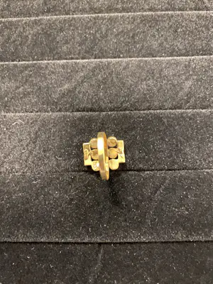 Geelgouden ring met druiven motief kopen? Bied vanaf 120!