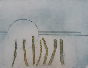 Jan Montyn - Bamboo II kopen? Bied vanaf 60!